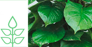 厂家直销，质优价实