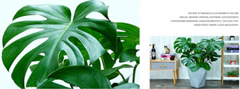 公司新闻 公司新闻