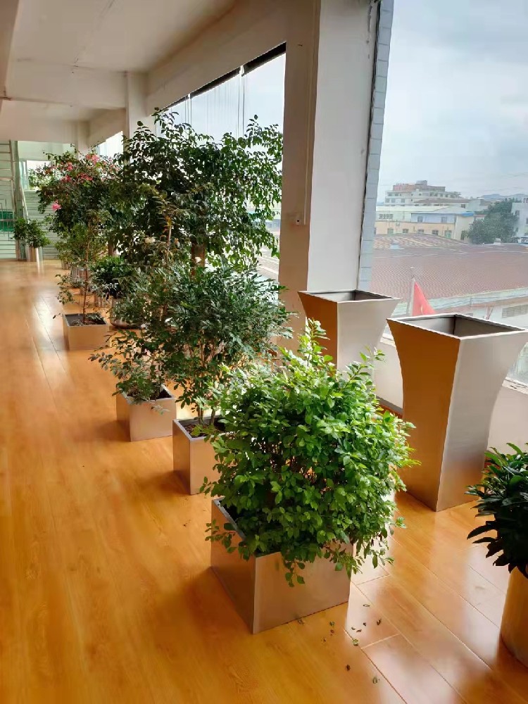 西安办公绿植出租|西安碧盛园艺13002920517